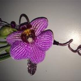 fwthumbButtonhole 4.jpg